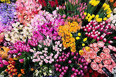 Xbox日本正在扩张 打造有“突破性的大制作游戏”